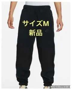 Item thumbnail for item 083ad311-2b57-4ef7-8b3a-087b3e71ab75