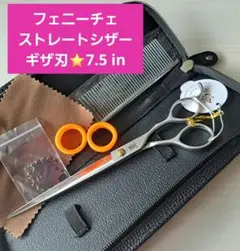 Item thumbnail for item e4c98e5f-669f-483b-b8ba-3e967bdefea6