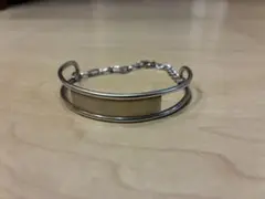 Item thumbnail for item aefec49f-f84c-48d0-bb8f-f384fab9a942