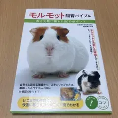 モルモット飼育バイブル 長く元気に暮らす 50のポイント