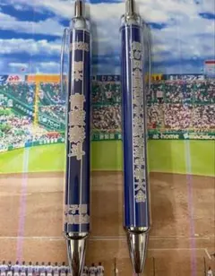 【青藍泰斗】第107回全国高等学校野球選手権大会記念ボールペン【他の学校可能】