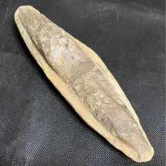 化石 334g ラコレピス 古代魚 魚類 鑑賞石 原石 自然石 鉱石 鉱物 水石 化石】 334g ラコレピス 古代魚 原石 鑑賞石 自然石 天然石 鉱石