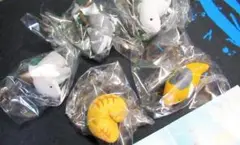 ねこ？ サメ？ ねことサメが合体 ねこさめ 全5種