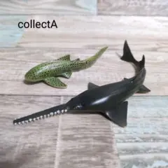 COLLECTA コレクタ ノコギリエイ トラフザメ フィギュア セット