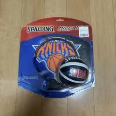 バスケ ミニ リング NBA