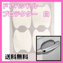 Item thumbnail for item 66806b5d-a0c7-4119-9da7-6d2c4b6b67b9