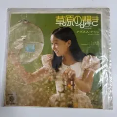 アグネスチャンの草原の輝きシングルレコードです。
