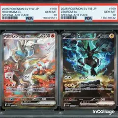 レシラム bw 094 PSA9 レシラム bw 094 PSA9 PSA9鑑定済〕レシラム(UR仕様)【-】{094/093}