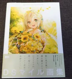 DSマイル 画集