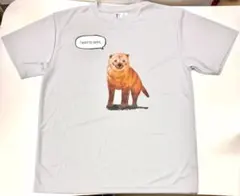 泳ぎたいヤブイヌ ドライ Tシャツ LLサイズ グレー