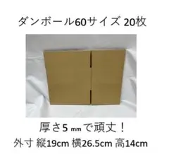 Item thumbnail for item 8d809b68-ccd6-495a-9fa4-208fca8edbb2