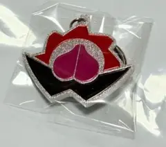 暴太郎戦隊ドンブラザーズ　グリッターアクリルキーホルダー　全スーパー戦隊展