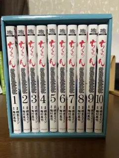 ちるらん 全巻セット専用ボックス付き