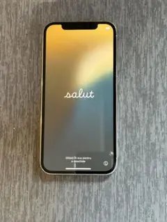 Apple iPhone 12 Pro シルバー 本体