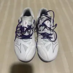 ミズノバドミントンシューズ24.5