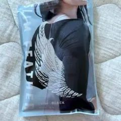 Item thumbnail for item 1be6be75-5f21-467f-9a7b-ffafef9459b3