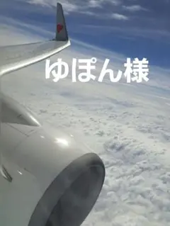 ゆぽん様