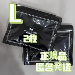2枚Lアガリズム ナイトブラ AGARISM GYDA コラボ 正規品 E2