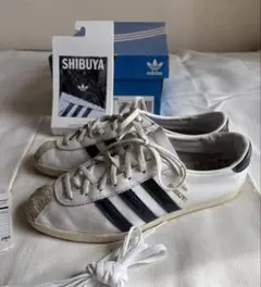 Item thumbnail for item 9b6aea09-2115-4ee3-84f4-b24c2cde40c9