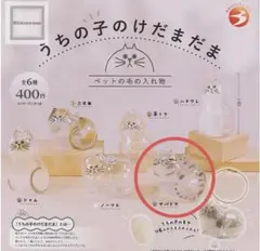 うちの子のけだまだま サバトラ 正規品