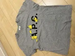 A.P.C ピカチュウ
