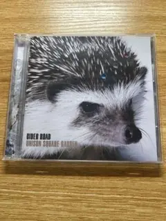 UNISON SQUARE GARDEN CIDER ROAD 通常盤