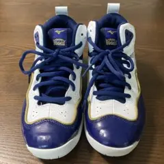 Item thumbnail for item 8b33c595-561b-4947-b009-b5e15871a34a