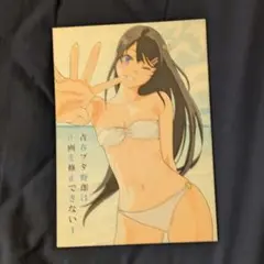 C106 たむらみかん 田村里美 新刊 青春ブタ野郎は作画を修正できない1
