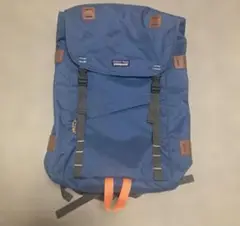 完売品patagonia グラスブルーバックパックアーバーパック