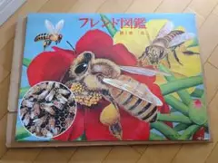 Item thumbnail for item 9e91d4bb-3a02-47de-9486-f12ed49307bc