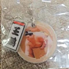 大相撲ガチャ　大奄美関