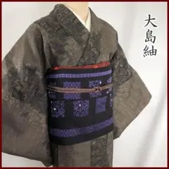 【売切値下げ】310mt78◇本場大島紬 枝花 色紙文 証紙付◇美品