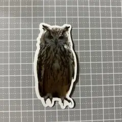 Item thumbnail for item cbbacd70-519e-43dd-a601-0370c4c5cfca