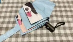 Item thumbnail for item 723e9218-5a69-4ab6-b4fb-64eb36601328