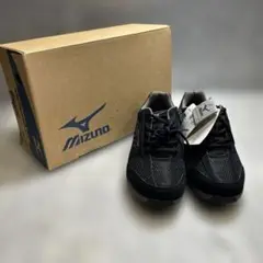 【新品・未使用】MIZUNO ウォーキング ウェーブアベニュー 24.5cm