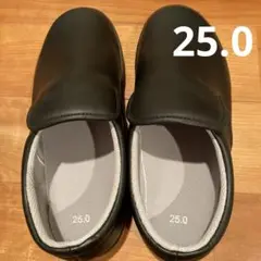 Item thumbnail for item 5f4ad447-76f2-4ab5-b90e-29ddd6f234e1