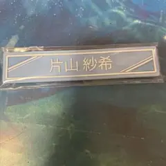 Item thumbnail for item 38b4c529-d8ba-4120-ba06-4324316dce54