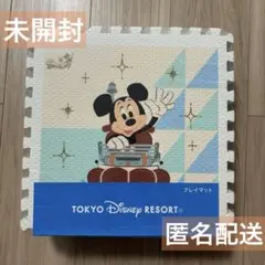 【新品】東京ディズニーリゾート　プレイマット　9枚