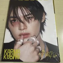 straykids KARMA 新品未開封 アコーディオン盤 リノ