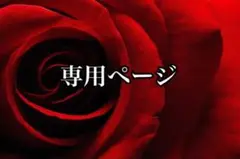 マンボウ様♡専用ページです!
