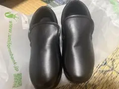 Item thumbnail for item 4ad2cbab-ee41-4d4e-bf06-ff927f9a9be9