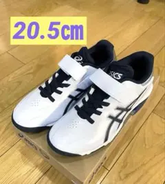 Item thumbnail for item 47c91313-0332-4480-9566-f46c57280543