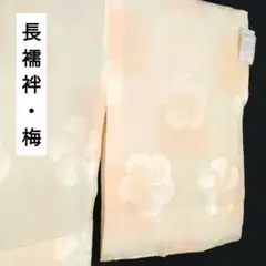 【未使用品】長襦袢 正絹 単衣 梅地紋 身丈135 裄64 ベージュ