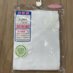 Item thumbnail for item 397a8b0e-252d-462e-b33b-f9a8cc63681e