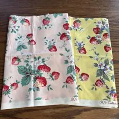 松山敦子さん　30's コレクション　ハギレ2枚セット