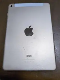 iPadmini本体