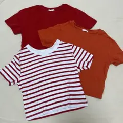 ミニ丈　Tシャツ　3枚セット