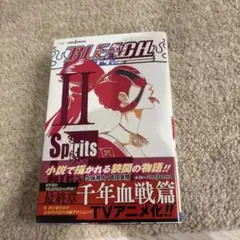 BLEACH Spirits Are Forever With You 2
