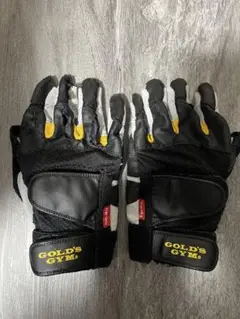 ゴールドジム プロトレーニンググローブ L(23cm)