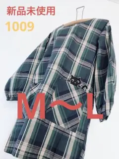 Item thumbnail for item 1a0a42bd-ba8e-4509-837f-a776a1e4caa4